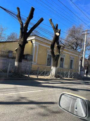 Прикрепленное изображение: 4.jpg